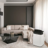Мобильный кондиционер Ballu Smart Wind BPAC-07 SW/N1