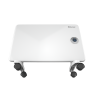 Конвектор электрический THERMEX Frame 1000E